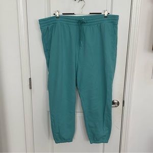 Fabletics Sweatpants Teal Plus Size 4x